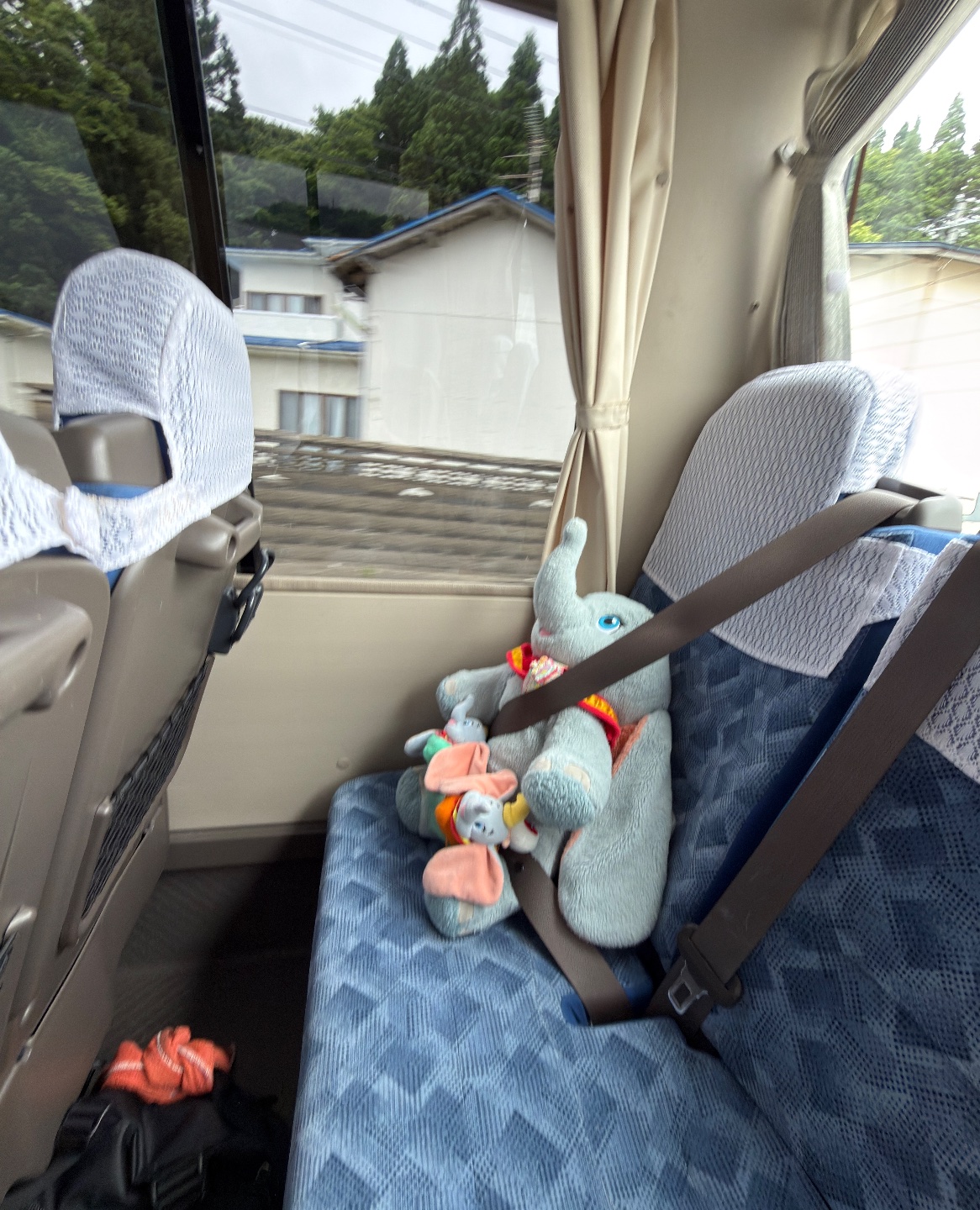 バスツアー🚌